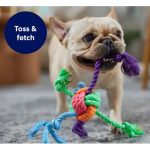 Frisco Fetch 彩色球结绳狗玩具