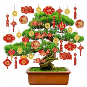 40 Pieces Happy Chinese New Year Decorations 2024