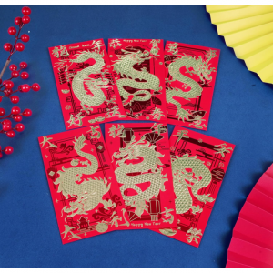Hotanry Red Envelopes Chinese New Year Dragon 2024  (18 Pcs 6.69*3.54in)