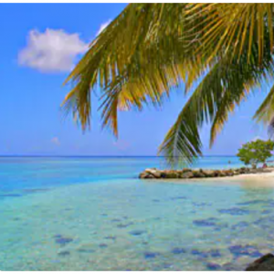$120 off 7-Day Western Caribbean with Mexico @Princess Cruise
