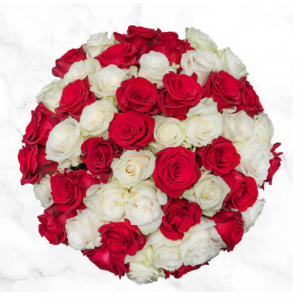 Pre-Order Valentine's Day 50-stem Roses @ Costco