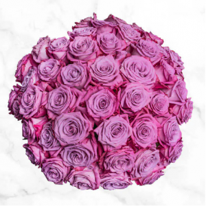 Costco 情人节预订 50枝薰衣草玫瑰