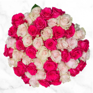 Costco 情人节预订 50枝亮粉色/浅粉色玫瑰