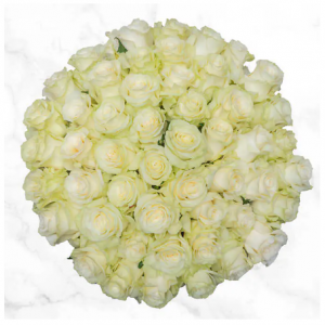 Costco 情人节预订 50朵白玫瑰