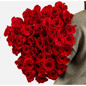 50朵红玫瑰