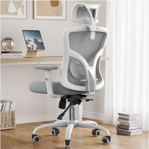 NOBLEWELL Ergonomic Office Chair, Desk Chair with 2'' Adjustable Lumbar Support @ Amazon