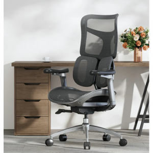 (NEW) Sihoo Doro S100 Ergonomic Office Chair with Dual Dynamic Lumbar Support, Black @ SIHOO