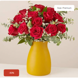 红玫瑰+礼物 Deluye