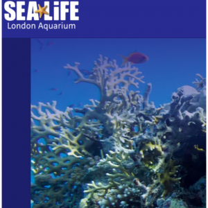 Sea Life London - 海洋生物馆、杜莎夫人蜡像馆、伦敦地牢蜡像院等套票特价，最高直降£62