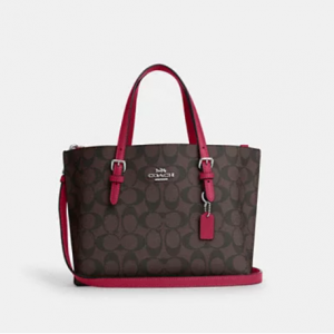 75% Off Coach Mollie Tote 25 In Signature Canvas @ Coach Outlet