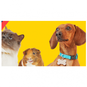 Up to 50% Off Winter Clearance @ Petco