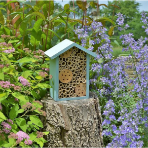 Nature's Way Bird Products PWH1-C Teal Bee House @ Amazon