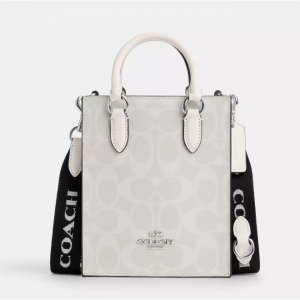 Extra 15% Off Coach North South Mini Tote In Signature Canvas @ Coach Outlet