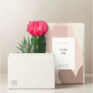 盧拉的玫瑰花園 - 我愛你