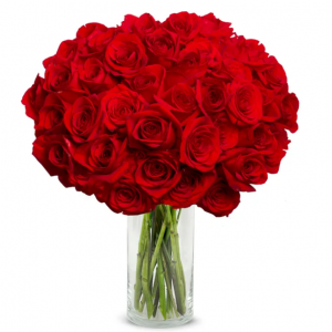 50朵令人驚歎的長莖紅玫瑰