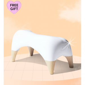 TUSHY Ottoman 马桶凳