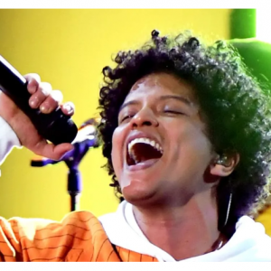 Vivid Seats - 鲁诺·马尔斯 (Bruno Mars)巡回演唱会，低至$143