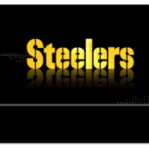StubHub - NFL匹兹堡钢人队（ Steelers ）比赛门票，$242起