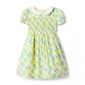 26% Off The Charlotte Smocked Dress @ Janie and Jack