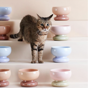 MS!MAKE SURE Pet feeder Bowl Sale @ Amazon