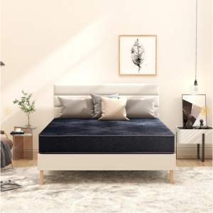 EGO 用于缓解背痛的混合袋装弹簧床垫 9英寸，Twin