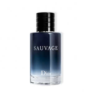 DIOR 旷野香水 60ml