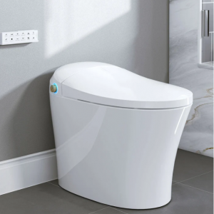 HOROW 最佳坐浴盆自动冲水马桶型号 T20