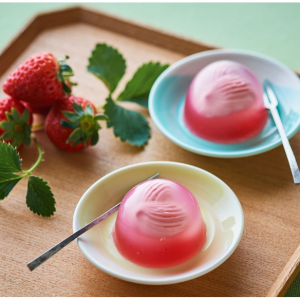 中津菓子かねいレアチーズの水まんじゅう いちご8個