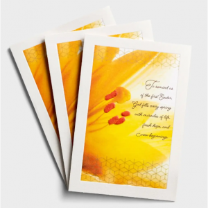 复活节 - 适合任何人 - 新鲜的希望 - 3张贺卡