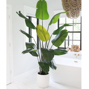 7' 人造天堂鸟树带树脂石花盆