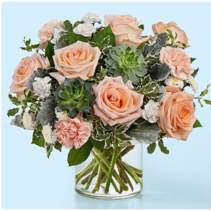 玫瑰、菊花、多肉植物、康乃馨花束，Premium