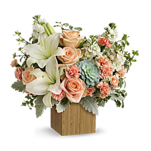 Teleflora 沙漠日出花束，Premium