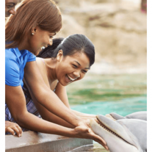 SeaWorld Orlando Packages from $99 @Orlando Vacation