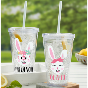 17盎司亚克力绝缘杯