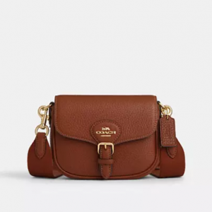 Coach Amelia Small Saddle Bag