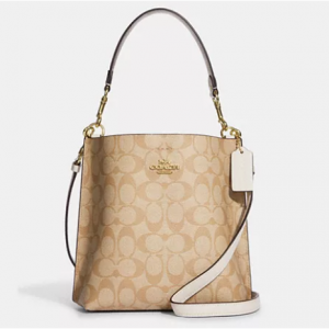 Coach Mollie Bucket Bag 22 In Signature Canvas