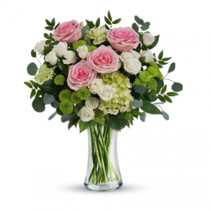 粉红色光芒花束，Premium