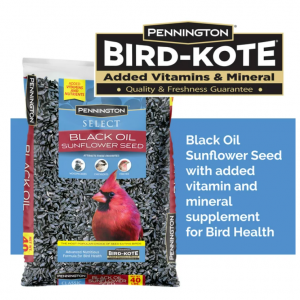 Pennington Select Black Oil Sunflower Seed Dry Wild Bird Feed, 40 lb. Bag, 1 Pack @ Walmart