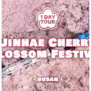 2024 Jinhae Cherry Blossom Festival: Jinhae Gunhangje Day Tour from Busan | South Korea