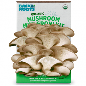 Back to the Roots Organic Mini Mushroom Grow Kit @ Amazon