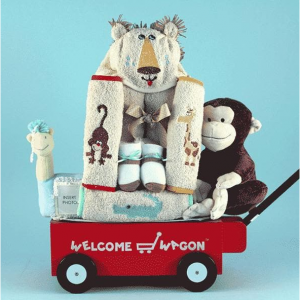 Welcome 马车婴儿礼物 - Safari