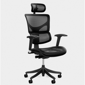 X1 Flex 网状工作椅