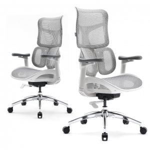 SIHOO Doro S100 Ergonomic Office Chair - with Dual Dynamic Lumbar Support @ Amazon