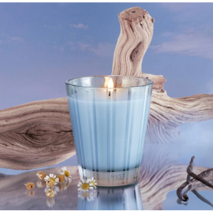 浮木和洋甘菊经典蜡烛