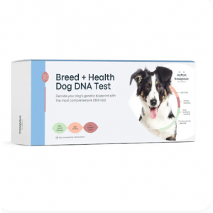 Breed + Health Dog DNA Test, 2 tests