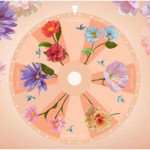 Mother's Day Play Game To Win Offer @ Estée Lauder