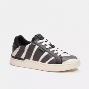 Coach Lowline Low Top Sneaker With Print