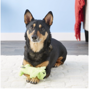 Multipet Loofa Dog The Original Squeaky Plush Dog Toy, Color Varies