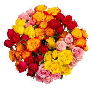 Fresh-Cut 喷雾玫瑰花束，至少9茎，颜色各异