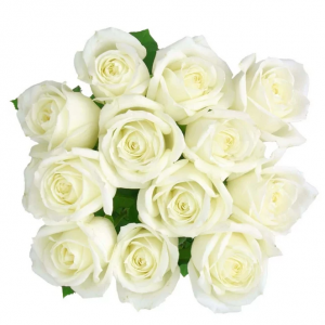 Fresh-Cut 实心玫瑰花束，至少12茎，颜色各异